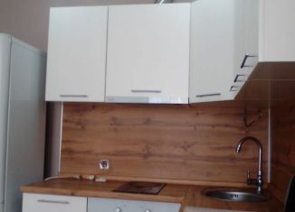 1-комнатная квартира в аренду, 32 м2, Сочи, Дагомысский переулок, 18, микрорайон Ареда