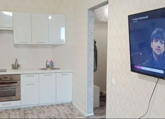 Сдаю в аренду 1-ком. квартиру, 40 м2, Курск, улица Энгельса, 115/3