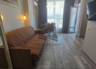 Сдача в аренду однокомнатной квартиры, 37 м2, Сочи, улица Гастелло, 28к1, микрорайон Голубые Дали