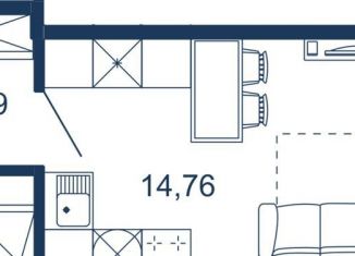 Продажа квартиры студии, 23.7 м2, Сестрорецк