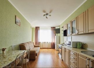 Аренда 1-ком. квартиры, 70 м2, Самара, улица Ерошевского, 18, метро Российская