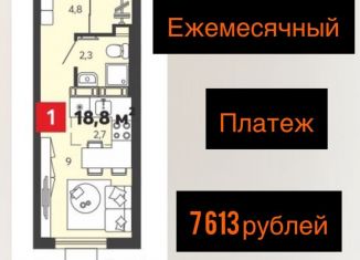 Продается квартира студия, 18.8 м2, село Засечное, ЖК Радужные Дворы