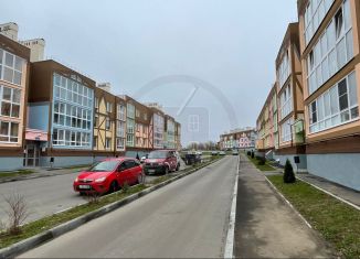 Продается 1-комнатная квартира, 30.4 м2, Калуга, улица Владимира Козлова, 2, ЖК Видный