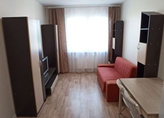 Сдача в аренду 1-ком. квартиры, 35 м2, Санкт-Петербург, ЖК Ручьи, Северный проспект, 109