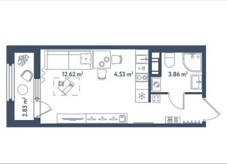 Продается квартира студия, 25.8 м2, Санкт-Петербург, муниципальный округ Московская Застава