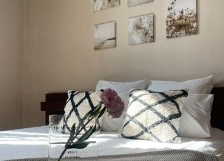 Сдам в аренду однокомнатную квартиру, 54 м2, Санкт-Петербург, Среднеохтинский проспект, 8, Среднеохтинский проспект