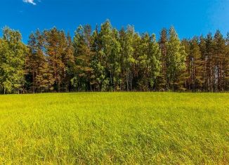 Продам участок, 20 сот., деревня Ключи, Сосновая улица