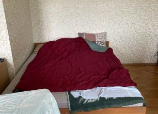 Сдам в аренду комнату, 24 м2, деревня Сабурово, деревня Сабурово, 33А