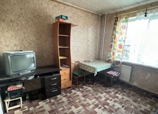 Сдаю в аренду 1-ком. квартиру, 40 м2, Санкт-Петербург, проспект Косыгина, 9к1, проспект Косыгина