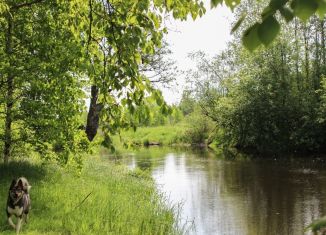 Сдаю коттедж, 60 м2, Санкт-Петербург, Пограничная улица, 11