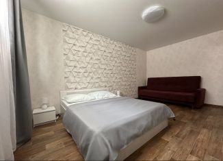 Сдается в аренду 1-ком. квартира, 40 м2, Тольятти, 4-й Онежский переулок, 10