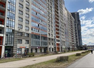 Аренда торговой площади, 70 м2, Санкт-Петербург, Кушелевская дорога, 3к2, метро Площадь Мужества