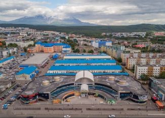 Аренда торговой площади, 36.5 м2, Петропавловск-Камчатский, проспект 50 лет Октября, 16