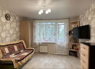 Продам 2-комнатную квартиру, 43.5 м2, Новосибирск, Звёздная улица, 4, метро Речной вокзал
