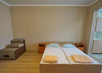 Сдается квартира студия, 30 м2, село Шепси, Восточная улица, 5