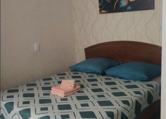 Сдается в аренду 1-ком. квартира, 22 м2, Саха (Якутия), улица Тихонова, 12