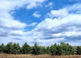 Продается участок, 50 сот., садоводческое некоммерческое товарищество Берёзка