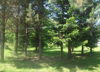 Продаю дом, 65 м2, деревня Учул, Рябиновая улица