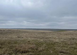 Продажа земельного участка, 243 сот., село Русаковка