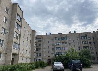 Однокомнатная квартира на продажу, 33.7 м2, деревня Остапово, Центральная улица, 32