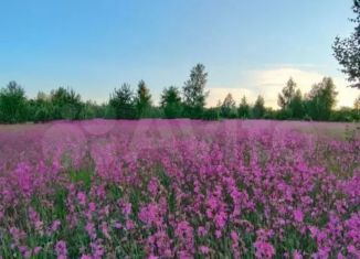 Продаю земельный участок, 10 сот., деревня Иванбеляк, Сосновая улица