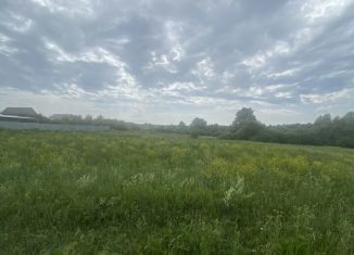 Дом на продажу, 50 м2, деревня Сепыч, Центральная улица, 87