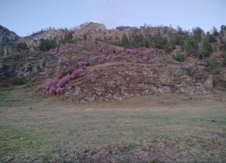 Продается участок, 6 сот., село Чемал