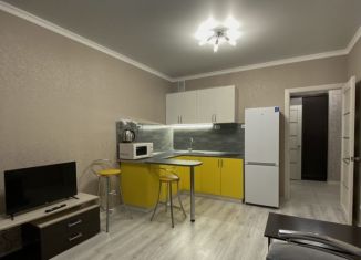 Квартира в аренду студия, 31 м2, Оренбург, улица Неплюева, 5, ЖК Дубки