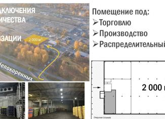 Сдам помещение свободного назначения, 2300 м2, Санкт-Петербург, проспект Непокорённых, 63К38