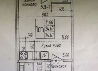 Продается квартира студия, 24.9 м2, Новосибирская область, Плющихинская улица, 2