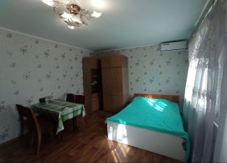 Дом в аренду, 54 м2, село Борисовка, улица Фурманова, 19