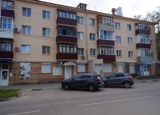 Продам 2-комнатную квартиру, 44.6 м2, Нижегородская область, Театральная улица, 25