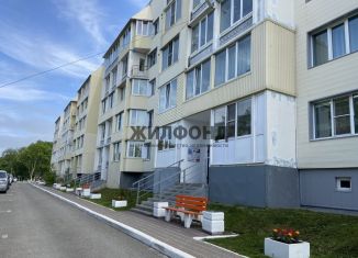 Продажа двухкомнатной квартиры, 53 м2, Петропавловск-Камчатский, Пограничная улица, 10