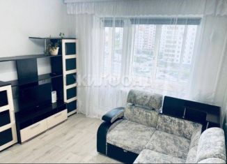 Продается однокомнатная квартира, 25.4 м2, Новосибирск, улица Дмитрия Шмонина, 2, ЖК Матрёшкин Двор