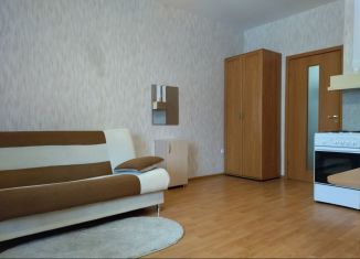 Сдается квартира студия, 26 м2, Мурино, улица Шоссе в Лаврики, ЖК Тридевяткино Царство