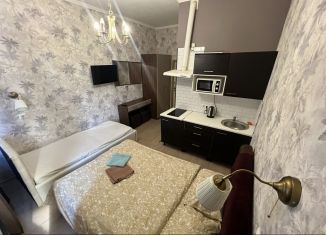 Квартира в аренду студия, 18 м2, Санкт-Петербург, Старо-Петергофский проспект, 26В, муниципальный округ Екатерингофский