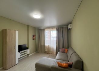 2-комнатная квартира в аренду, 40 м2, Краснодар, Тополиная улица, 46к2, Прикубанский округ