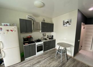 Однокомнатная квартира в аренду, 35 м2, Сыктывкар, Тентюковская улица, 304, район Орбита