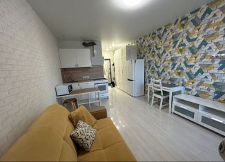 Сдача в аренду квартиры студии, 24.8 м2, деревня Пирогово, улица Сурикова, 1