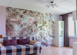 Продается 3-ком. квартира, 42 м2, Санкт-Петербург, проспект Ветеранов