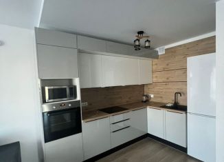 Трехкомнатная квартира в аренду, 71 м2, деревня Новое Девяткино, Главная улица, 10