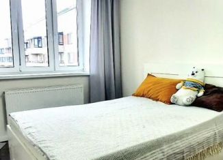 Сдам 1-ком. квартиру, 42.3 м2, Мурино, улица Шоссе в Лаврики, 72к4