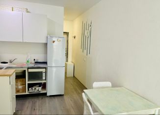 Продаю квартиру студию, 27.3 м2, Сочи, улица Лысая Гора, 27/28, микрорайон Светлана