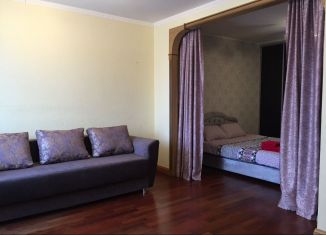 Сдача в аренду 1-комнатной квартиры, 45 м2, Санкт-Петербург, улица Латышских Стрелков, 17к1, ЖК Ладожский Парк