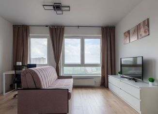 Аренда квартиры студии, 25.1 м2, деревня Новое Девяткино, Главная улица, 8