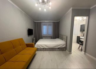 Сдам в аренду однокомнатную квартиру, 35 м2, Казань, улица Воровского, 19