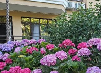 Продается 1-ком. квартира, 27 м2, Сочи, Донская улица, 108А, микрорайон Донская