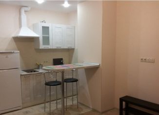 Сдаю квартиру студию, 23 м2, Новосибирск, улица Михаила Кулагина, 35, Октябрьский район