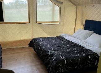 Сдам в аренду дом, 24 м2, деревня Зелёная Поляна, Торфяная улица, 29Б