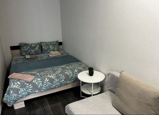 Сдача в аренду квартиры студии, 35 м2, Тюменская область, улица Беляева